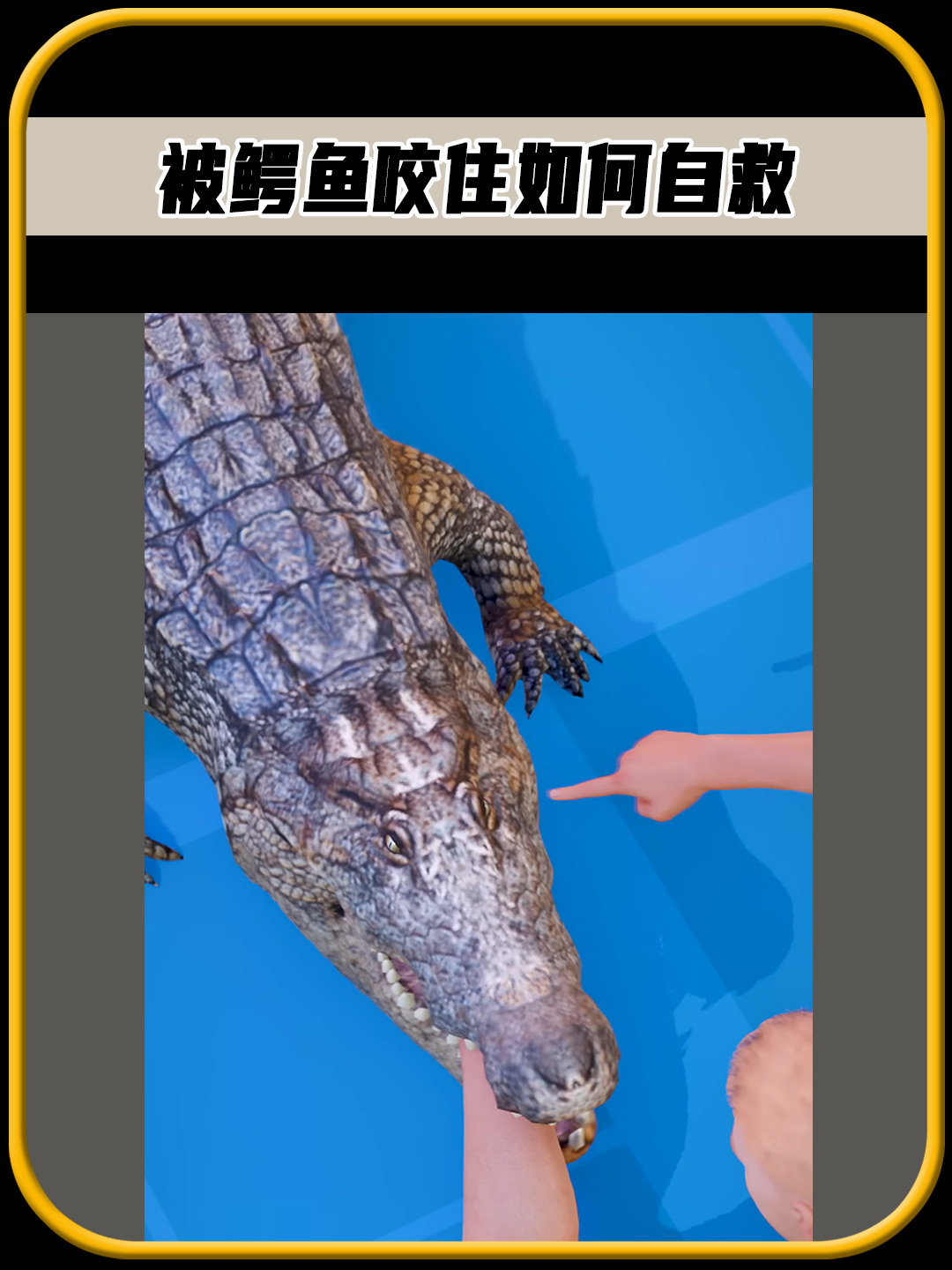 如果你被鳄鱼咬住了,那么你可能会面临,鳄鱼的死亡翻滚