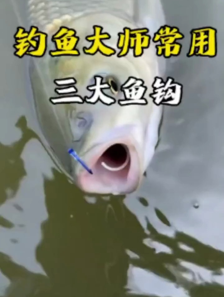 野钓大鱼用什么鱼钩最合适?钓鱼大师:这3种鱼钩从来不跑鱼!