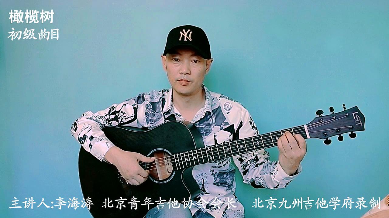 [图]橄榄树 初级曲目 指弹吉他独奏曲200首示范