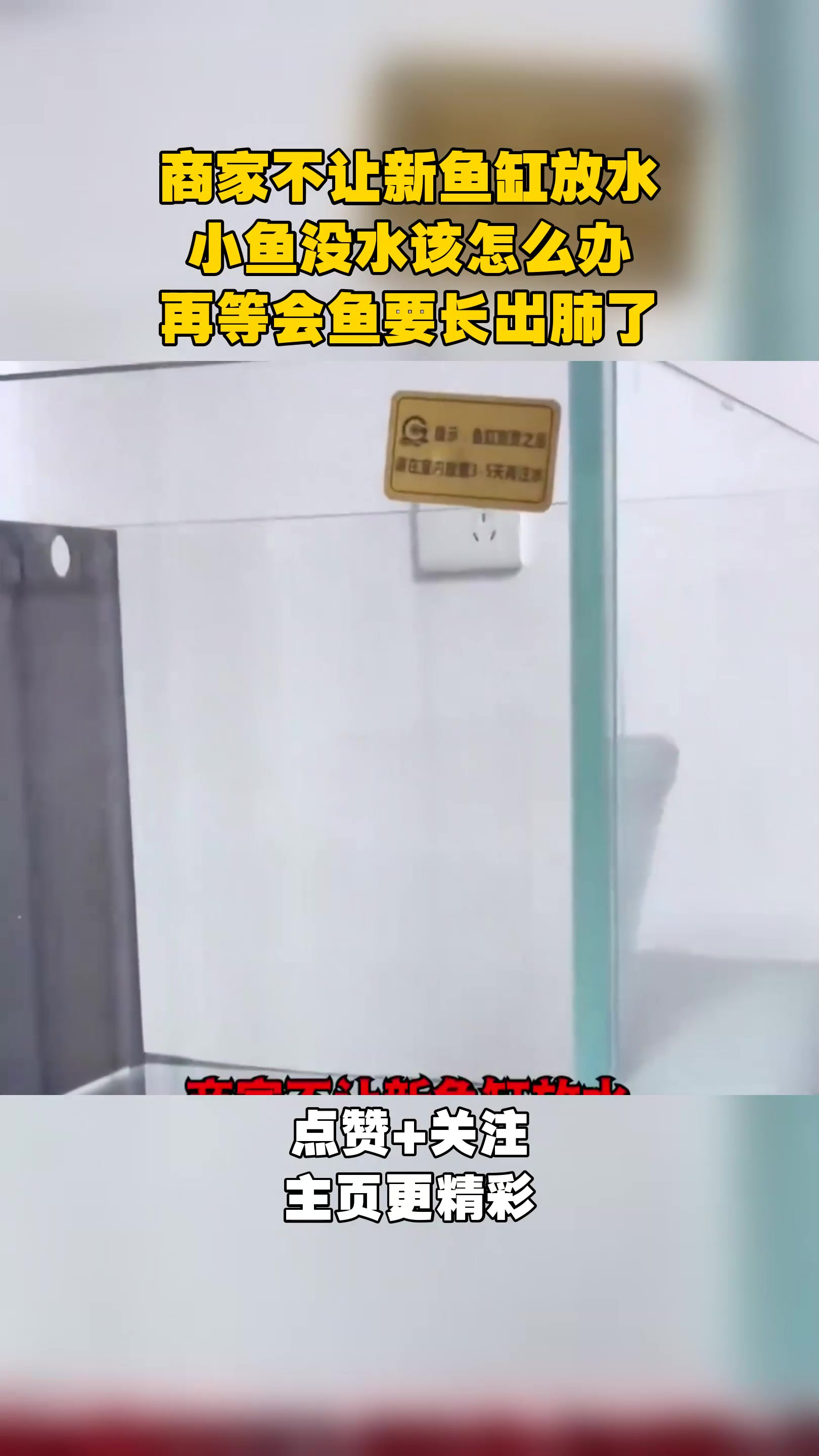 商家不让新鱼缸放水,小鱼没水该怎么办,再等会鱼要长出肺了
