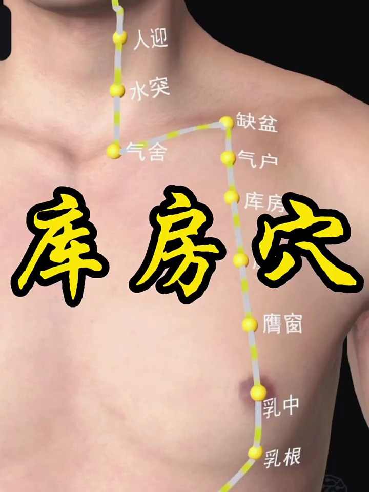 库房中医养生知识健康养生健康经络穴位
