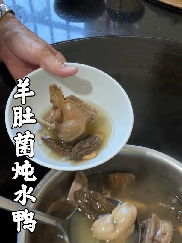 羊肚菌炖水鸭,清凉又滋补;三伏天家人孩子胃口不好的都可以试试