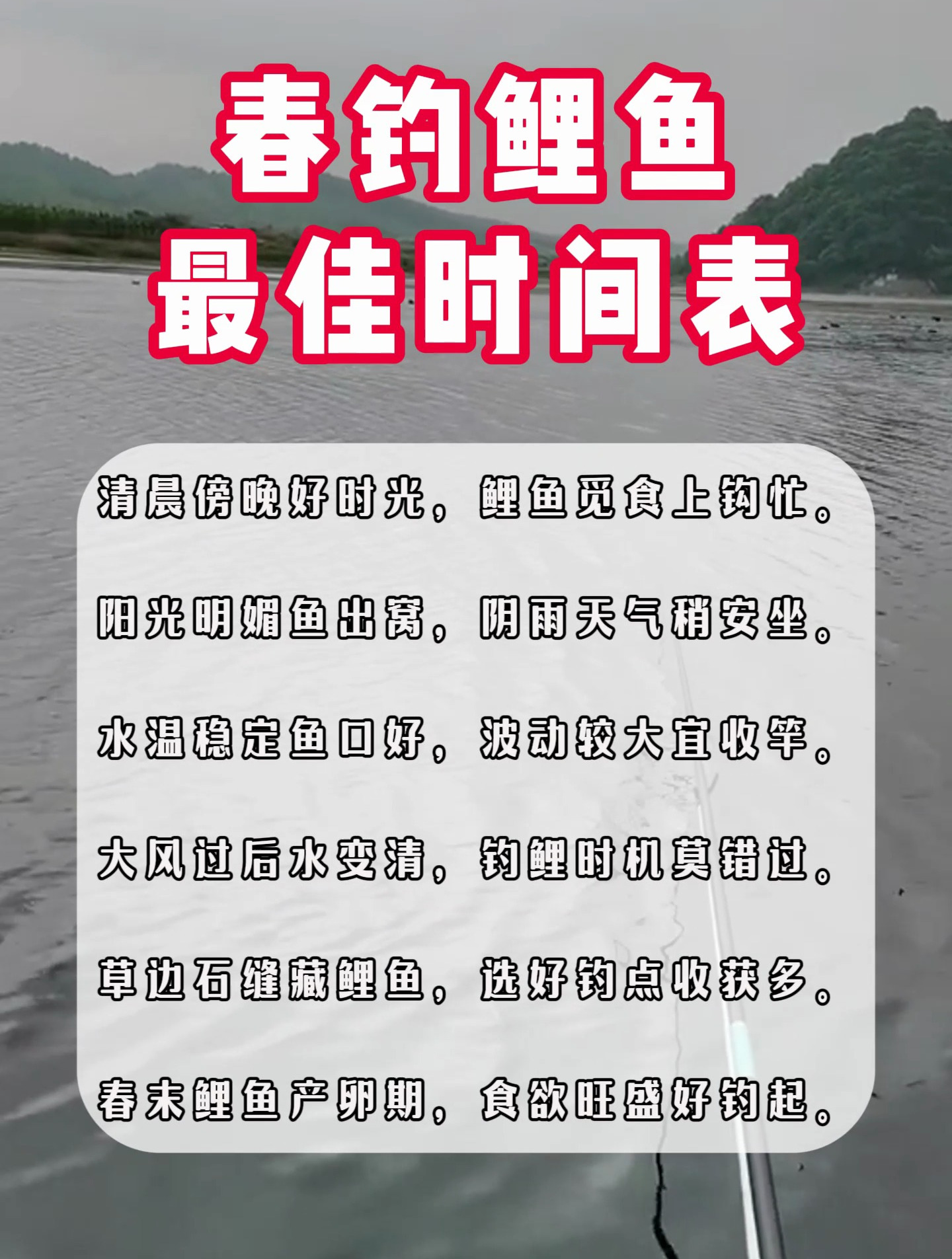 春钓鲤鱼最佳时间,选对时间连竿爆护不是梦!