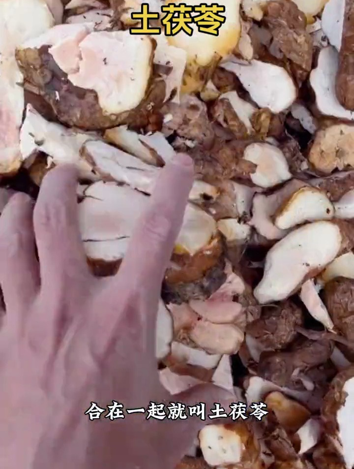 土茯苓又叫荜藓、毛尾薯、白余粮等,是植物光叶菝葜的干燥块茎