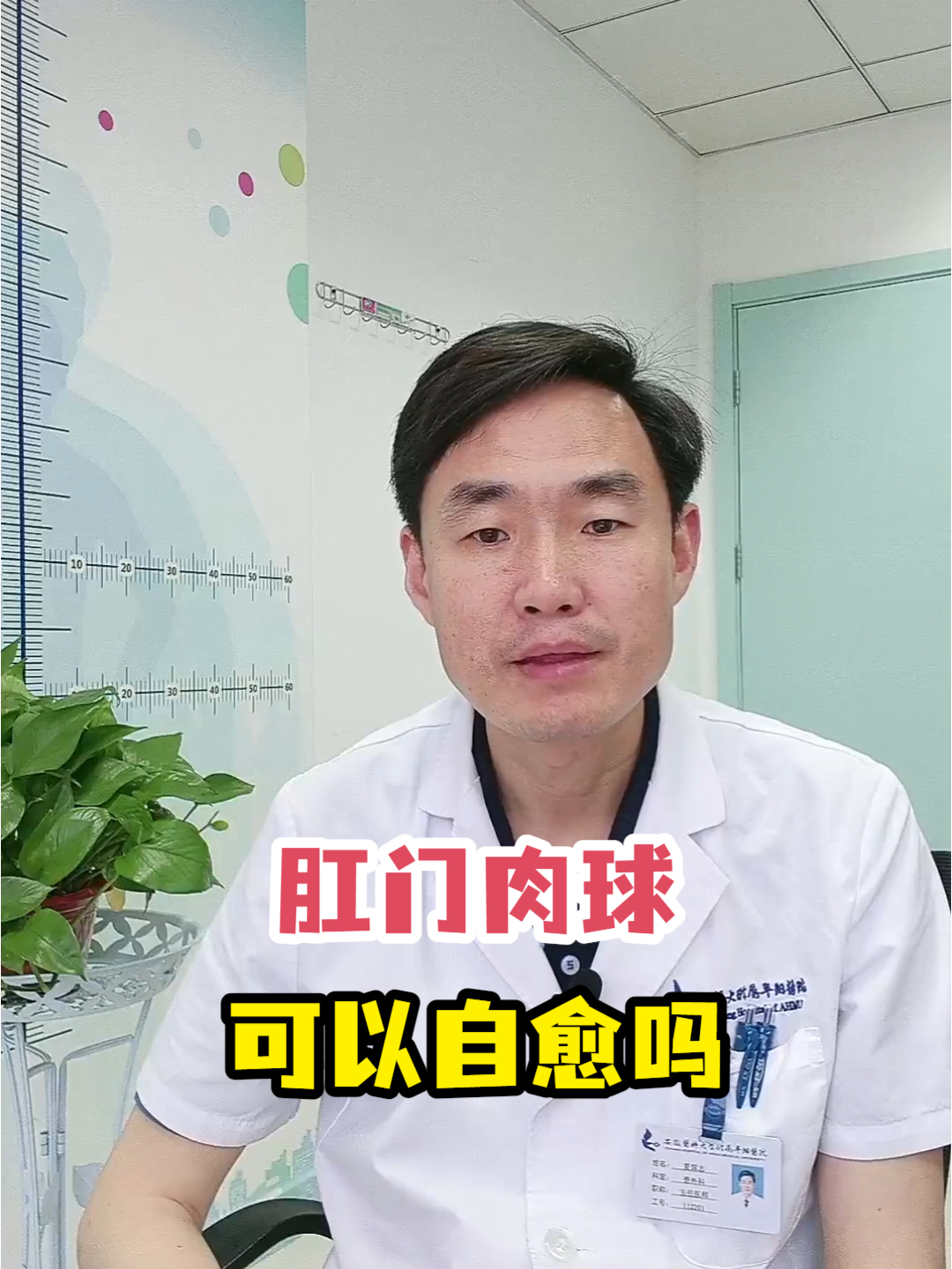 肛门肉球可以自愈吗