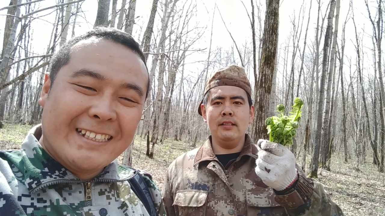 哥俩采山野菜遇到一大片黄瓜香 最后成全了老弟 大哥太仁义了