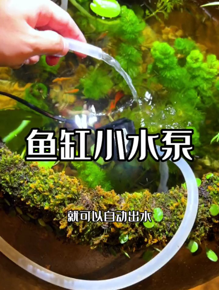 鱼缸增加一个流水,不仅可打氧气除油膜,加过滤材料还能流水过滤