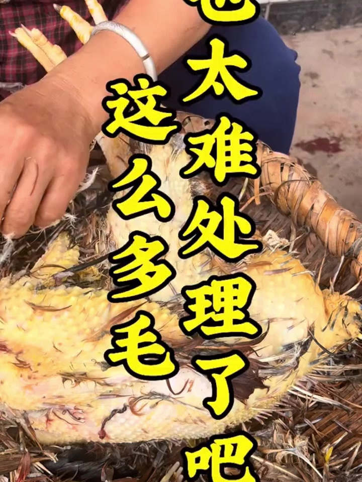 鸭子拔毛器,鸡鸭鹅拔毛器,家禽拔毛器