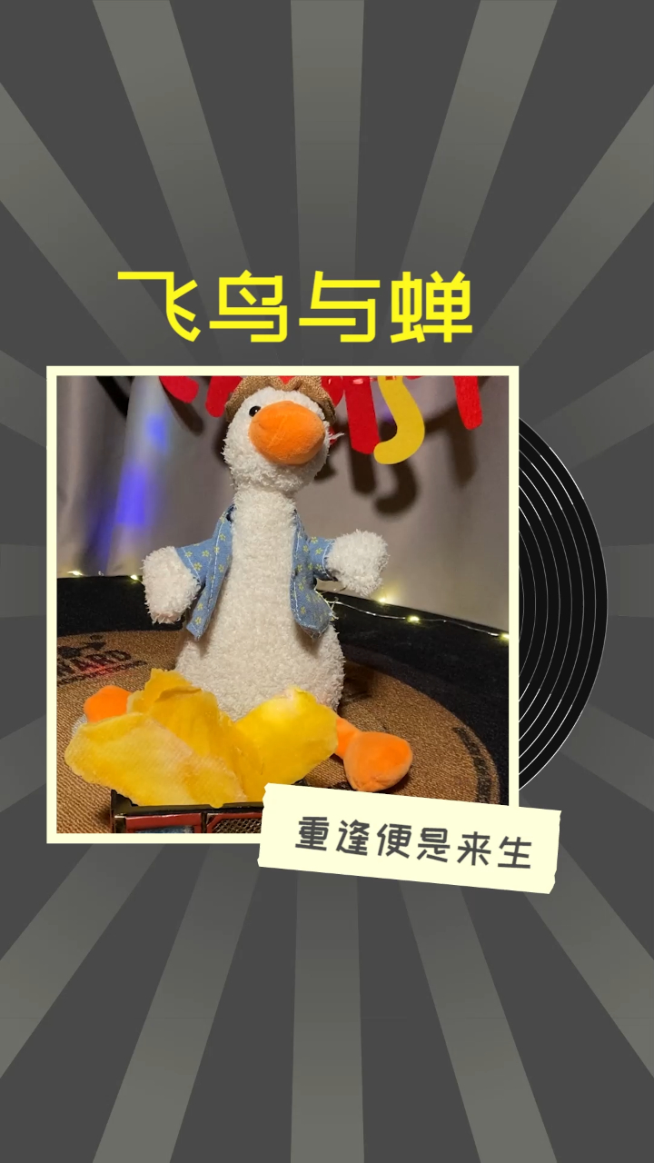 见过为了吃芒果干,被打飞的鸭鸭吗?