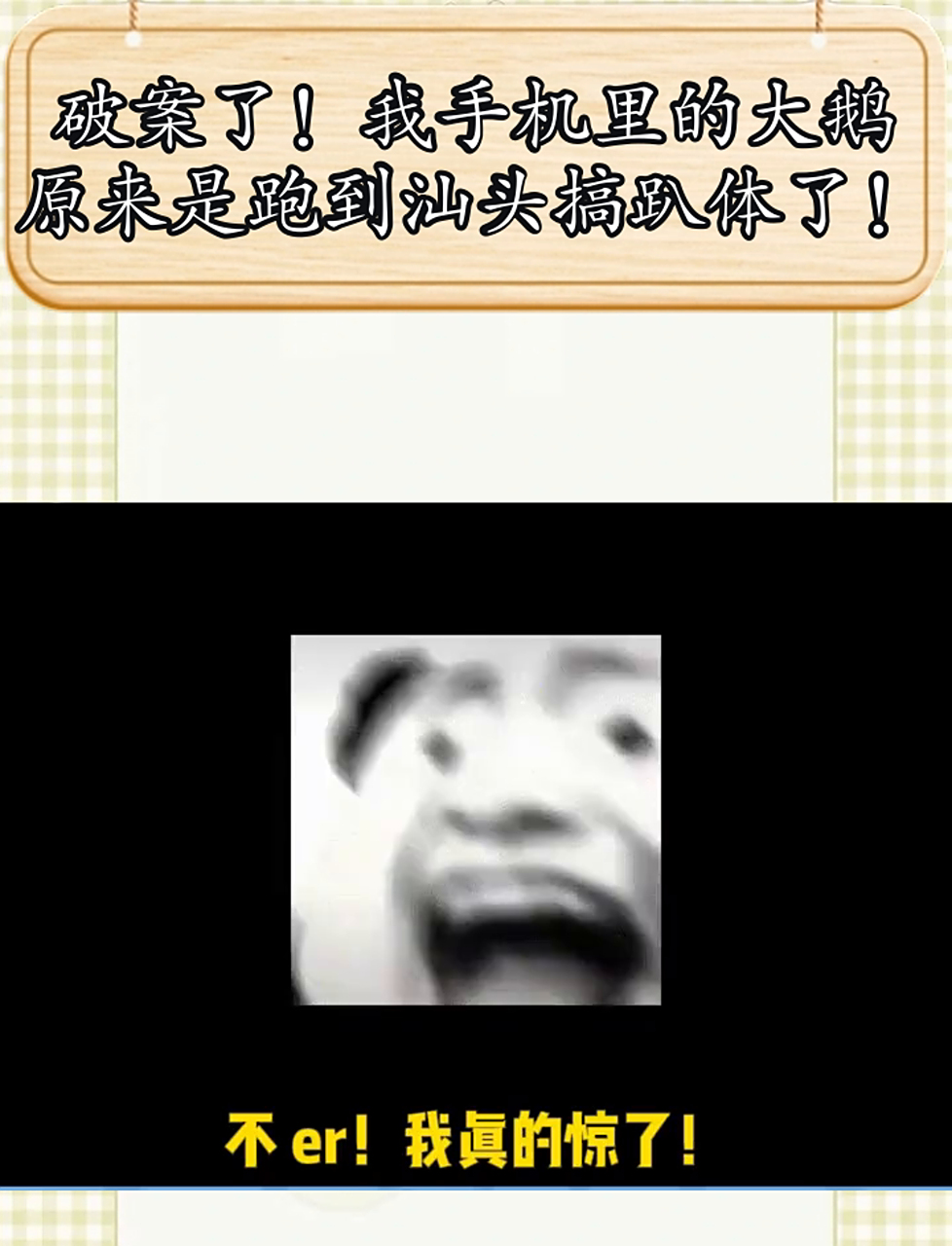 揭晓啦!我手机里的大鹅,原来是去汕头开派对了!