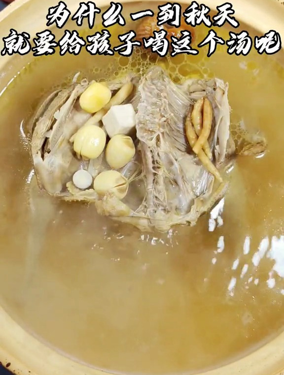 孩子长身体的时候要多补充营养,试试这道太子参鸽子汤,营养好喝