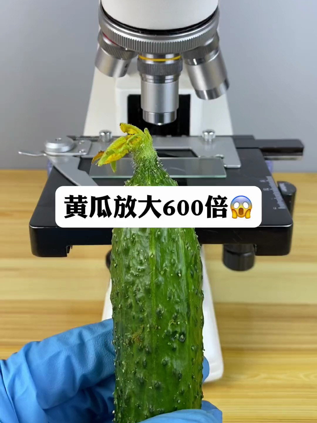 催熟黄瓜为什么不能吃