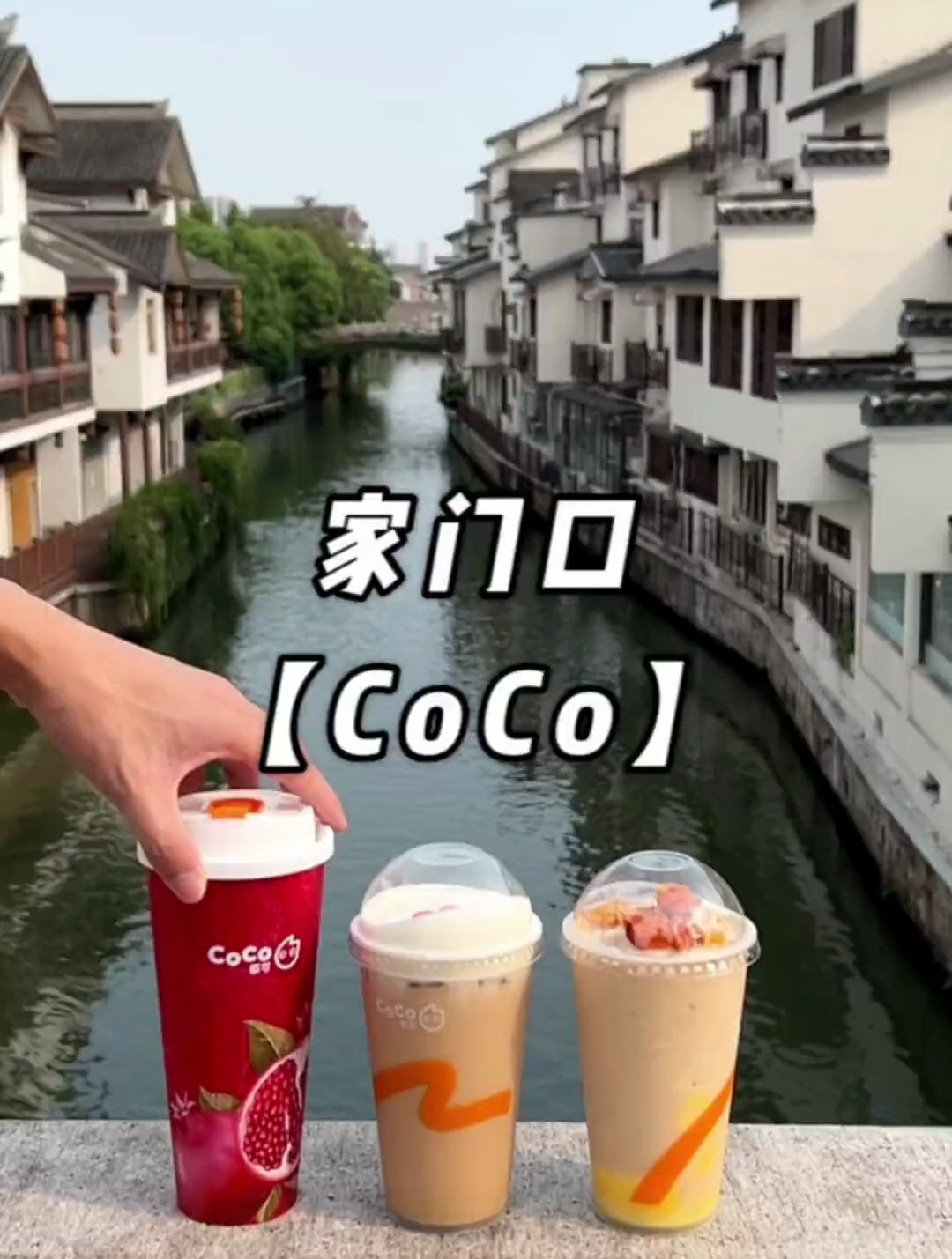 家门口的奶茶店CoCo出新品啦