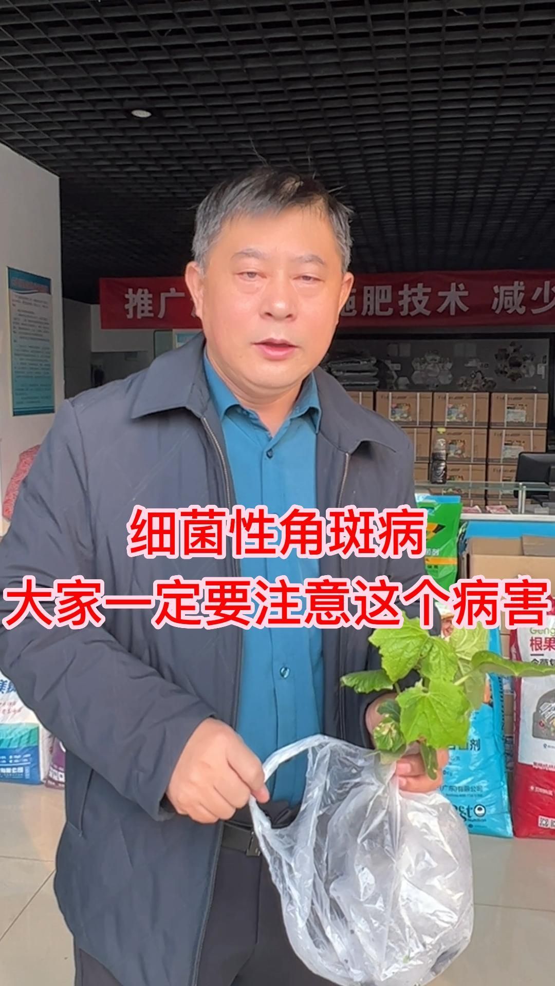 大家一定要注意这个细菌性角斑病!