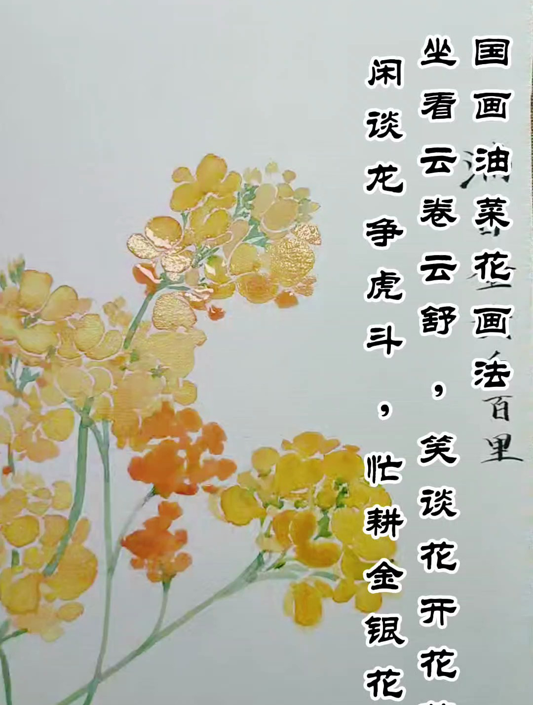 国画油菜花画法,坐看云舒卷,笑谈开花落,没骨花卉画法诀窍