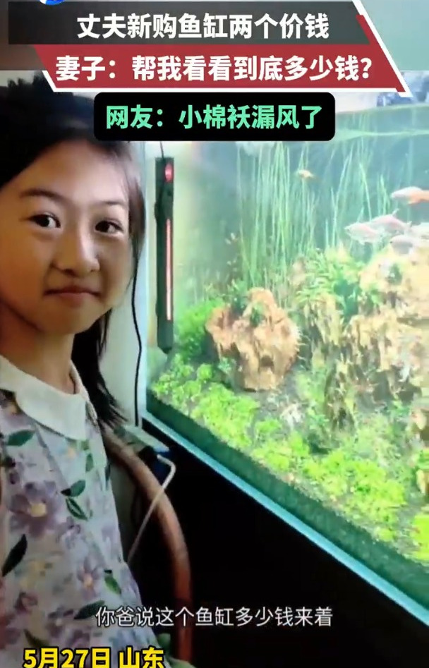 丈夫新买的鱼缸两个价钱,妻子瞬间懵圈,网友:是小棉袄漏风了