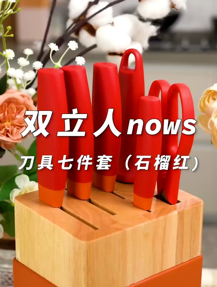 双立人厨房菜刀刀具套装 一应俱全 久用不用磨