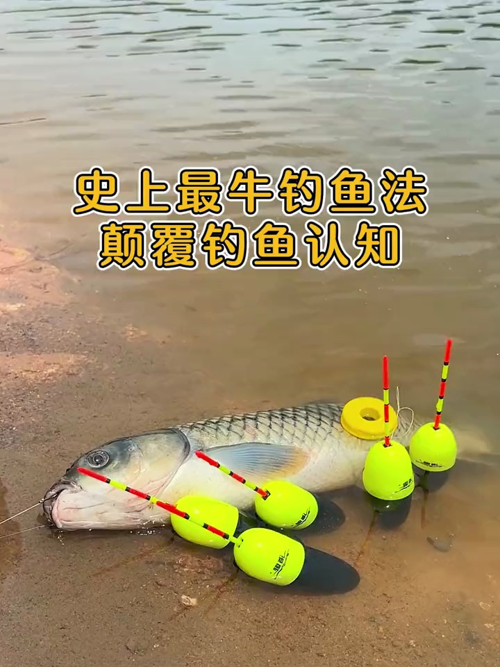 史上最牛钓鱼法,颠覆你的钓鱼认知,震波漂让钓鱼更简单!