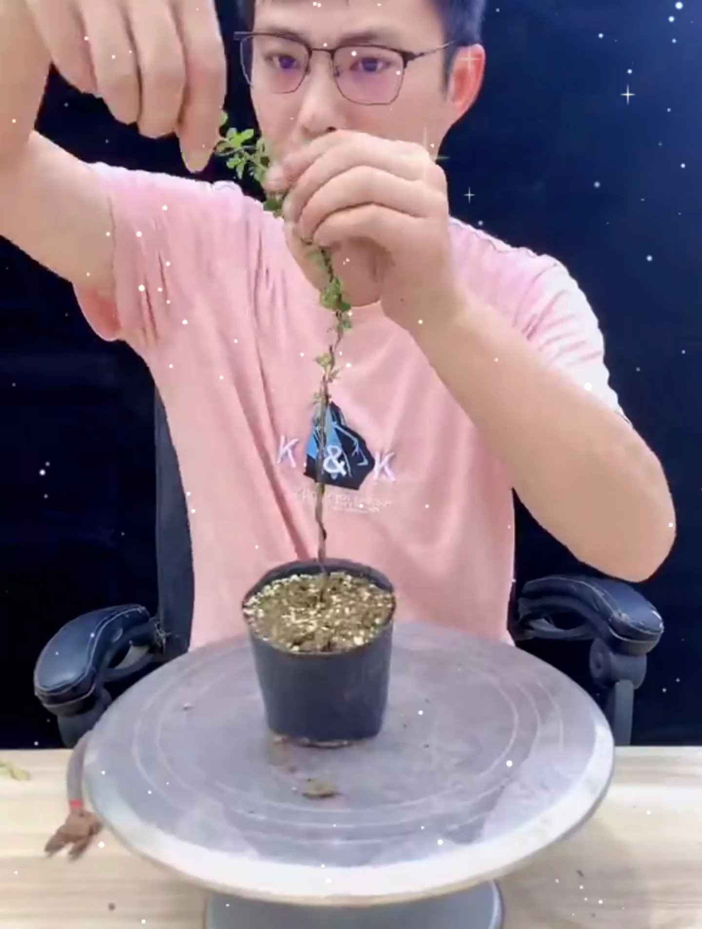 教你制作悬崖式盆景造型,“从小培植”铝线盘扎,这方法不错