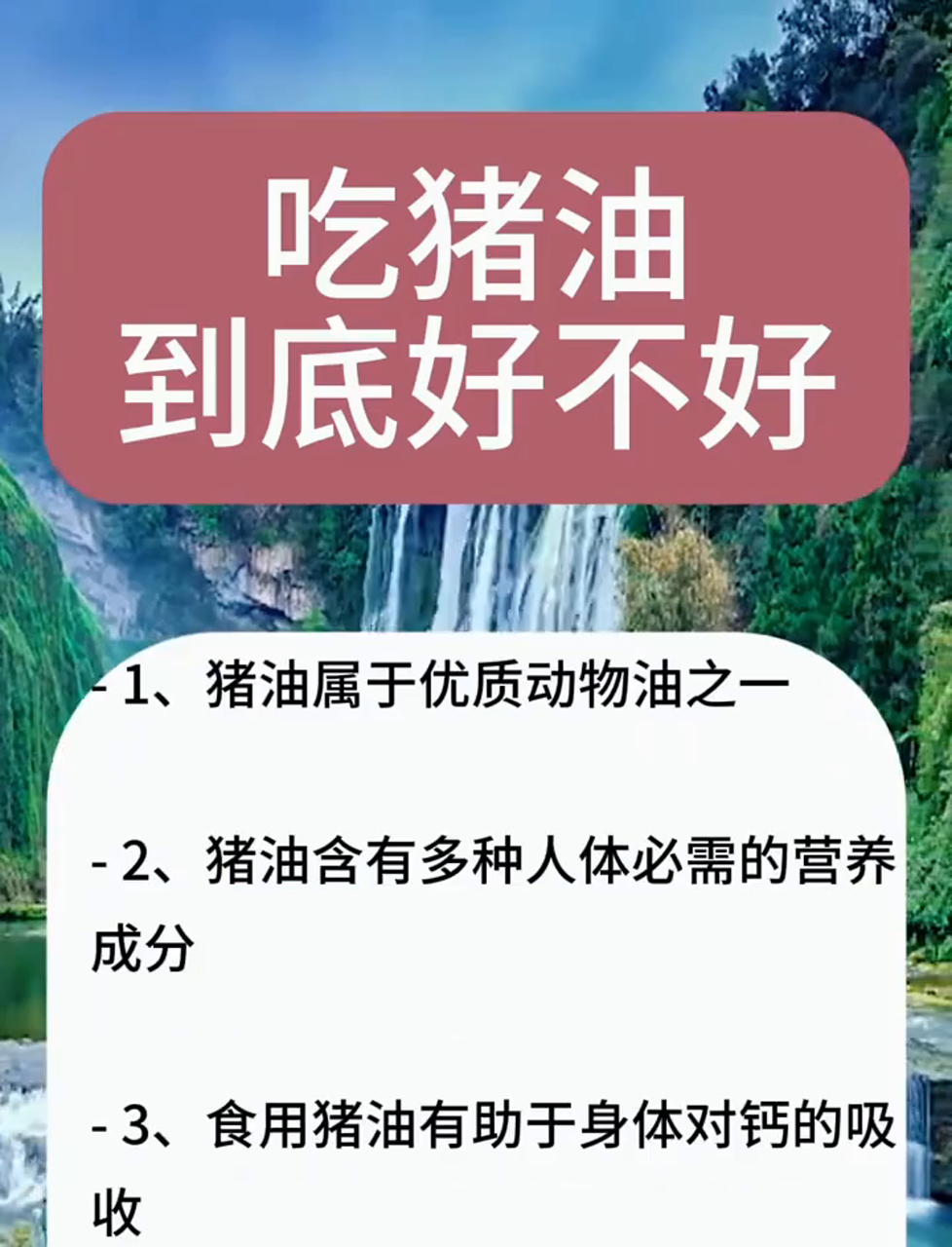 聊聊健康小知识:吃猪油真的对身体好吗?猪油的好处有哪些?