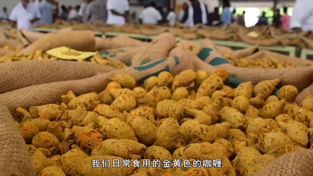 饮食习惯是受气候所决定,终于明白印度人为什么那么爱吃香料了