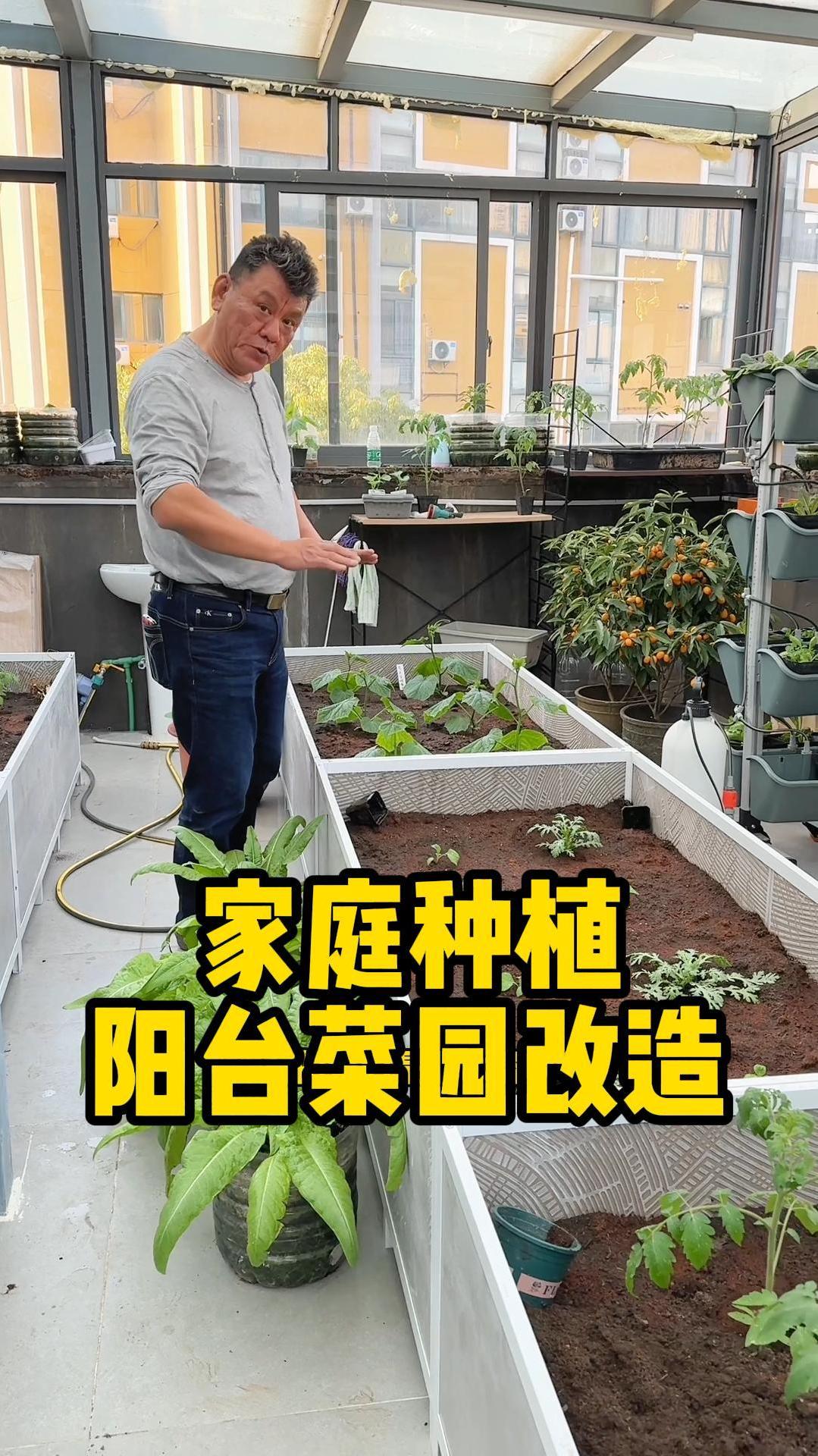 家庭种植阳台菜园改造