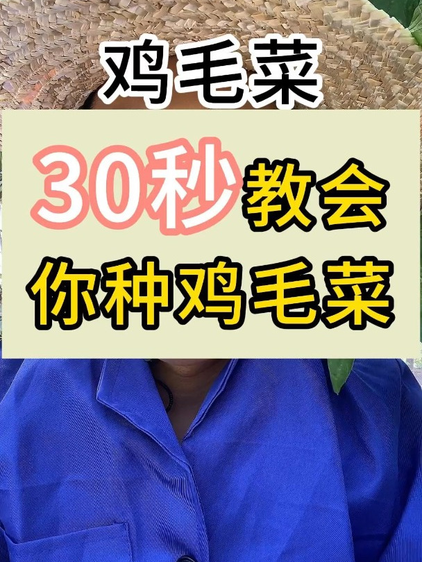 30秒教会你种植鸡毛菜