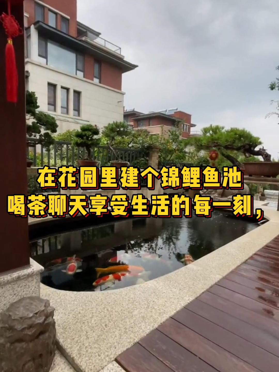 在花园里打造一个锦鲤鱼池,每天喂喂鱼儿,享受生活的每一刻