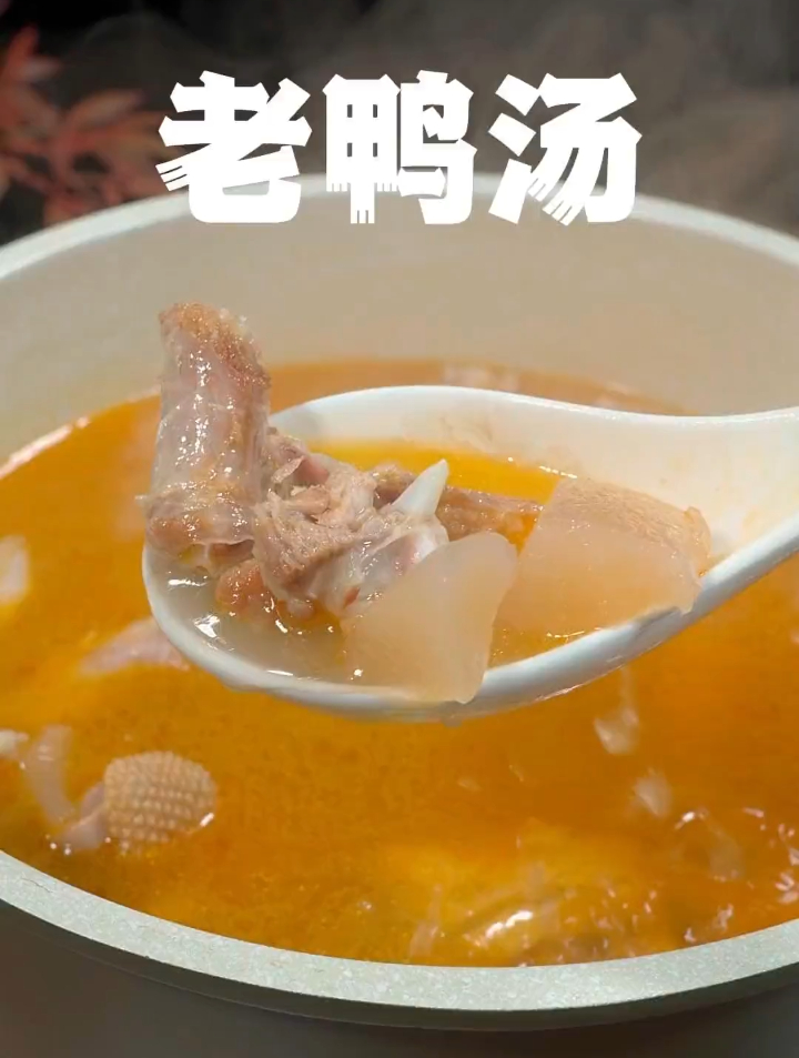 鸭子不要总是拿来红烧了、赶紧试试这个酸萝卜老鸭汤、汤鲜味美