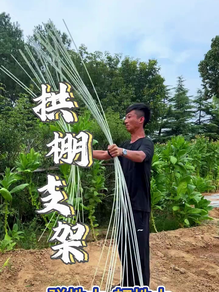 答应我农村蔬菜大棚别再用竹竿了,新型拱棚支架耐用韧性还特别好