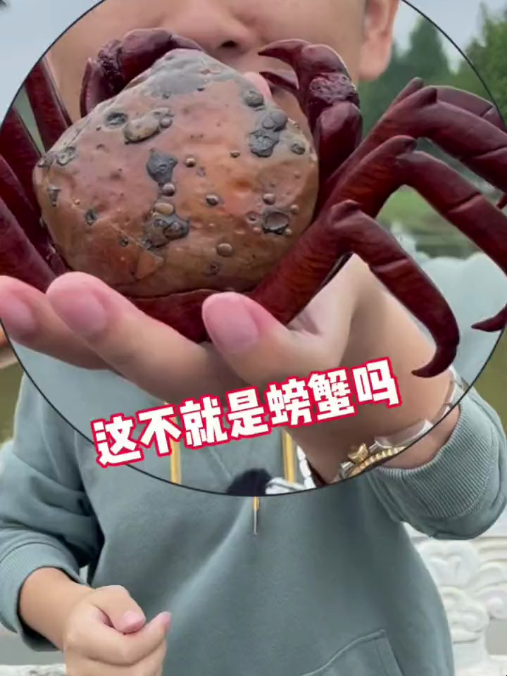 今天带兄弟们去看一下南京龙袍的蟹黄汤包,我先吃咯!