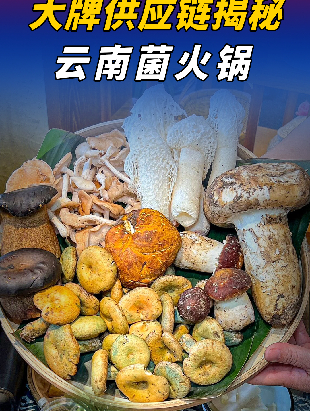 听劝,云南菌火锅供应链!先去这里看看!