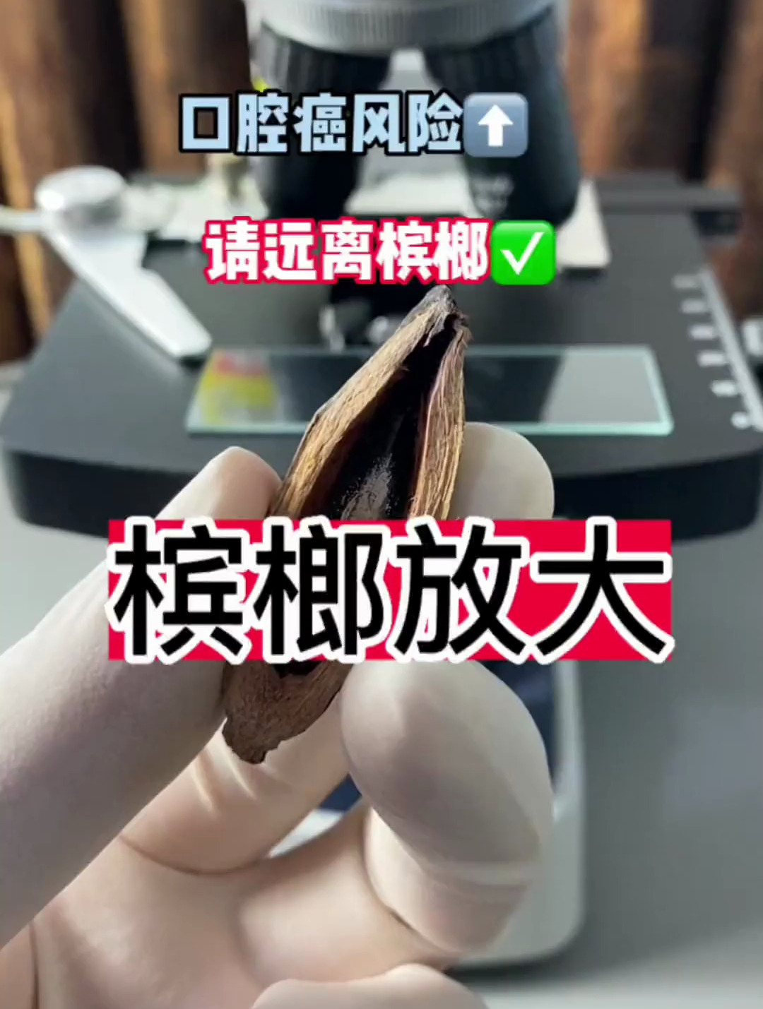 很多人喜欢的槟郎,用显微镜放大看看,说说你看到了啥