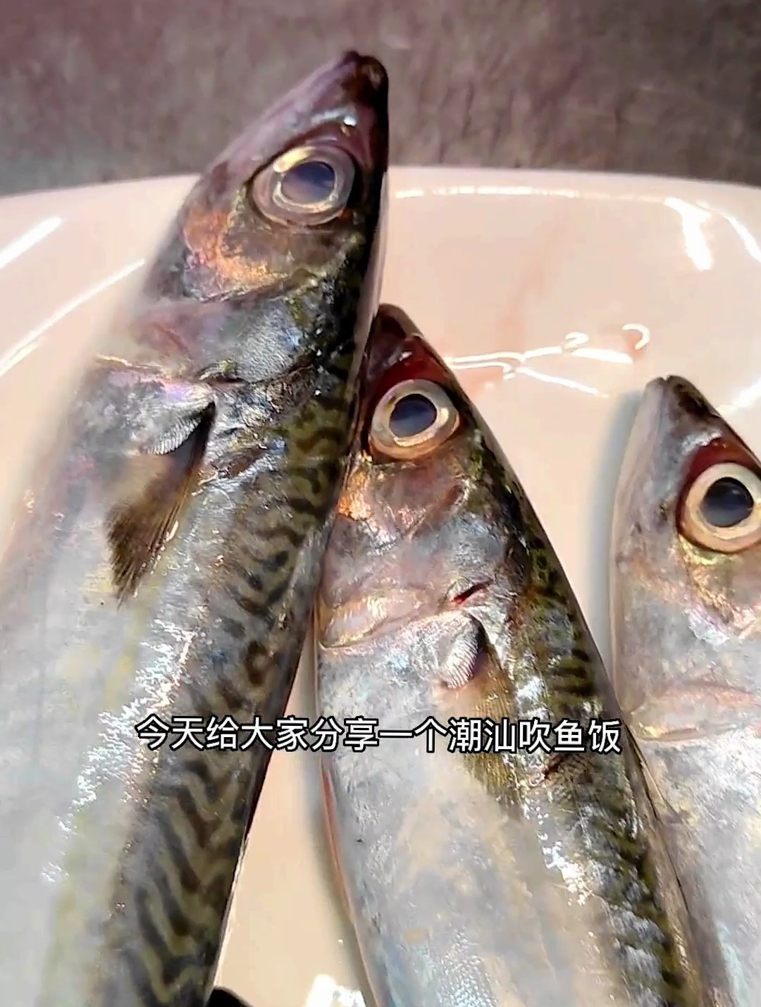潮汕美食吹鱼饭。又鲜又甜