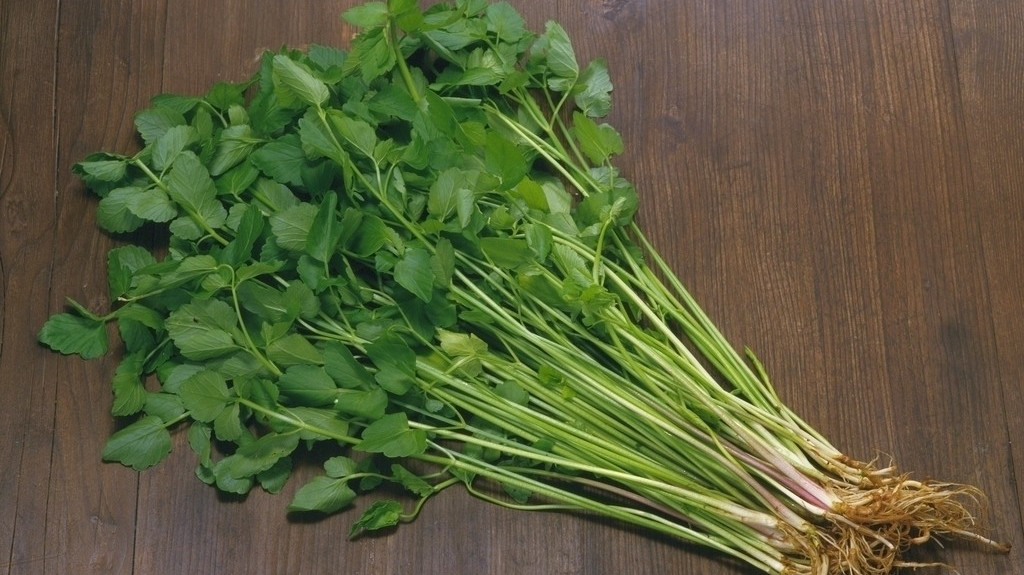 豆腐搭配2物,有空吃点,减少胆固醇,扩张血管,平稳血压!