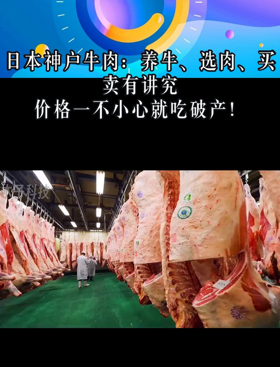日本神户牛肉:养牛、选肉、买卖有讲究,价格一不小心就吃破产!