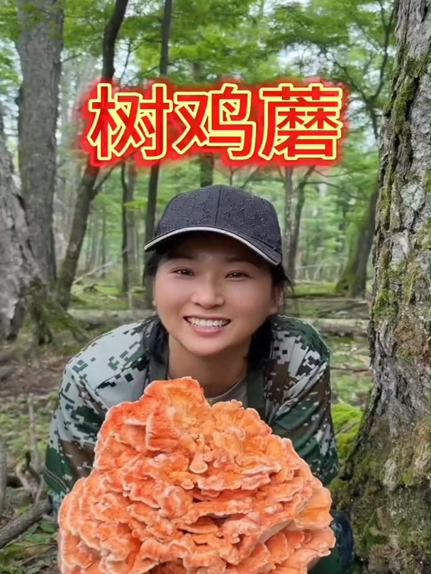 想啥来啥!俺妈想吃树鸡蘑这不就采到了吗