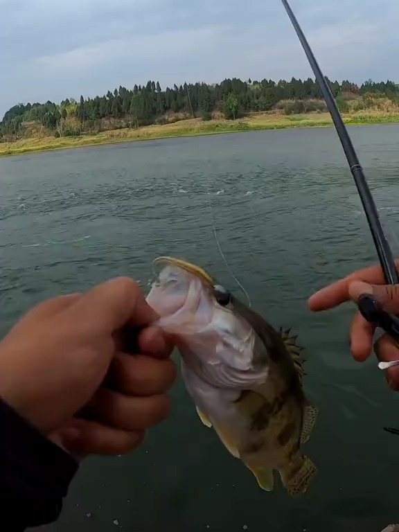 路亚探钓的魅力,这样的标点是不是你们梦寐以求的?