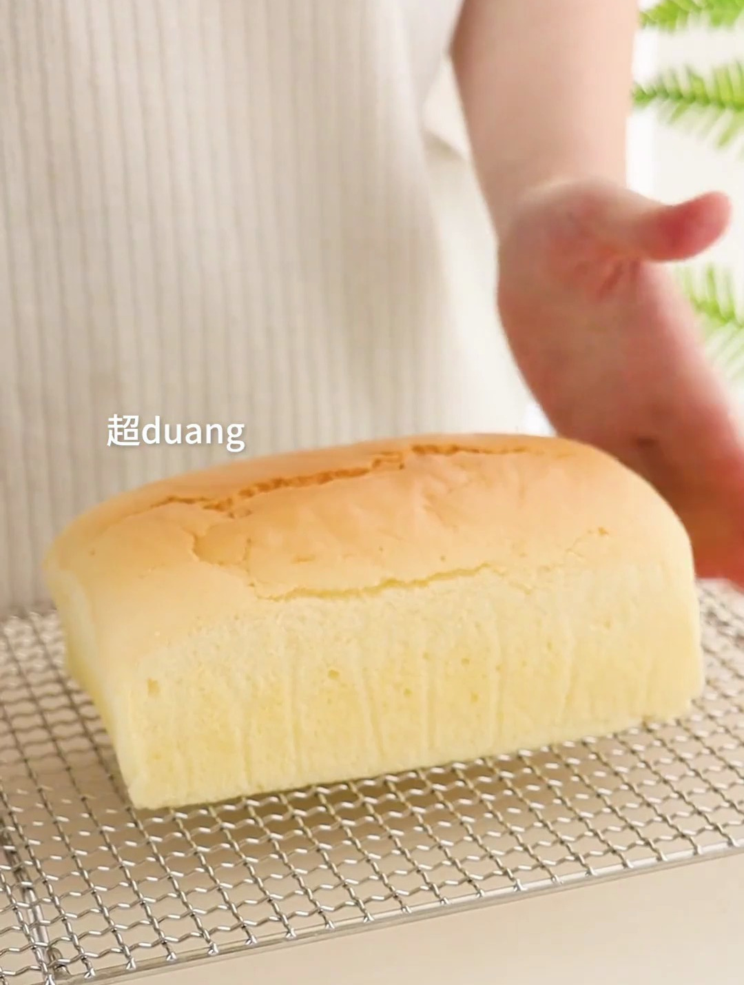 今天做柯基抖臀蛋糕