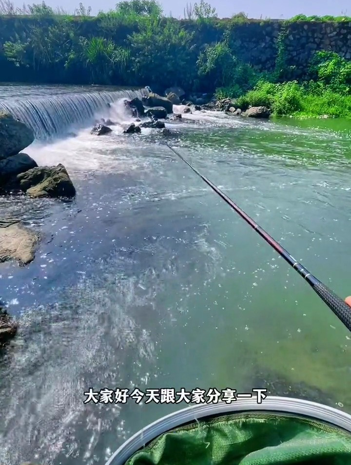 在急流中钓溪石斑的技巧,拖钓法,希望对你有帮助!