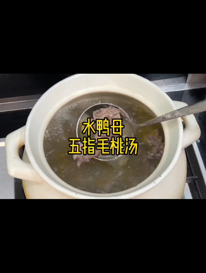 水鸭母跟五指毛桃煲汤,真的好适合夏天呀,给家人安排上吧