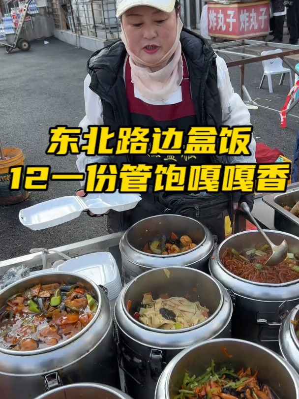 东北路边盒饭 12元一份不够吃还能无限加菜 嘎嘎香!