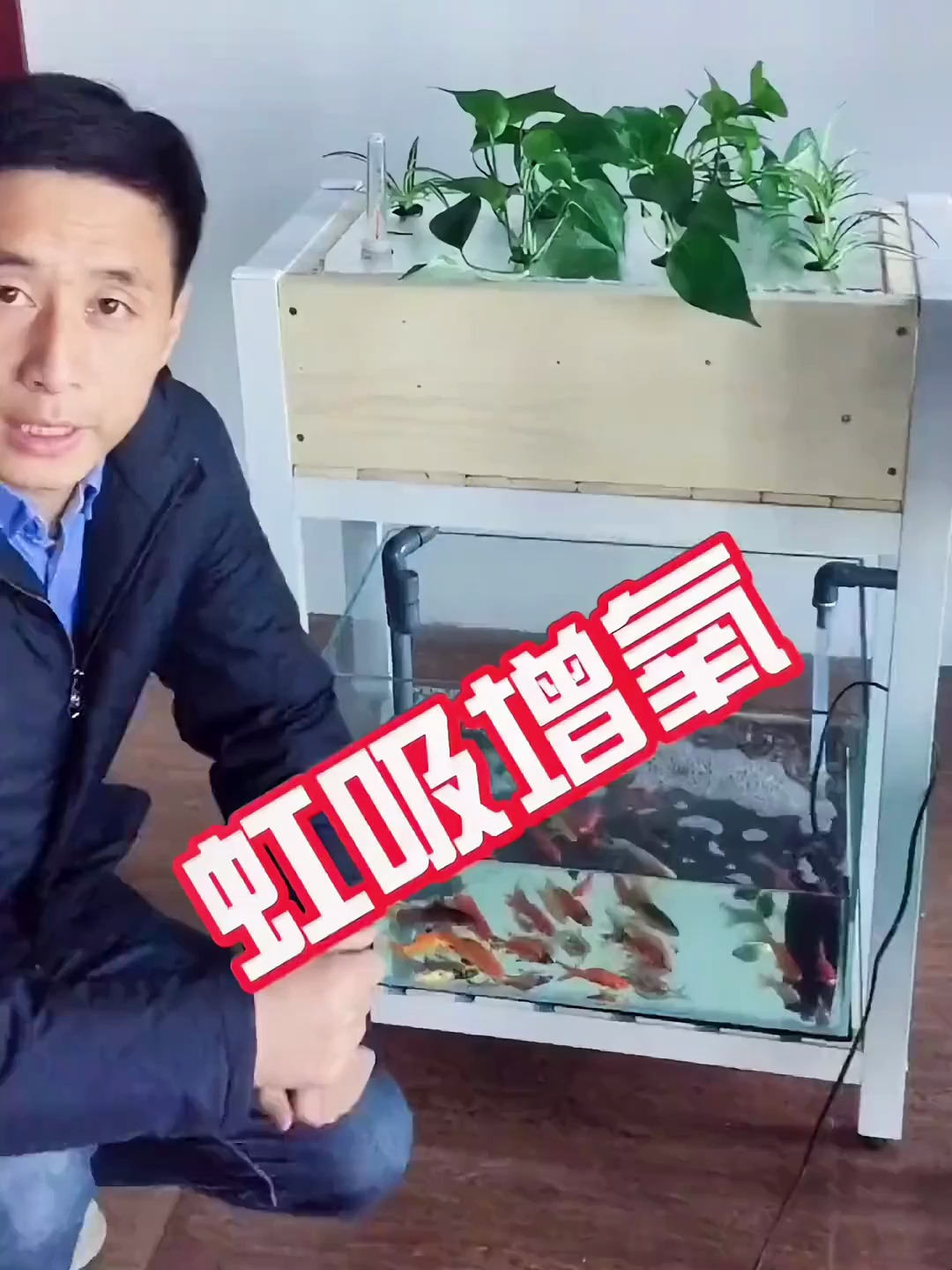 虹吸增氧,文氏管。玩鱼菜共生你需要知道的技巧之一