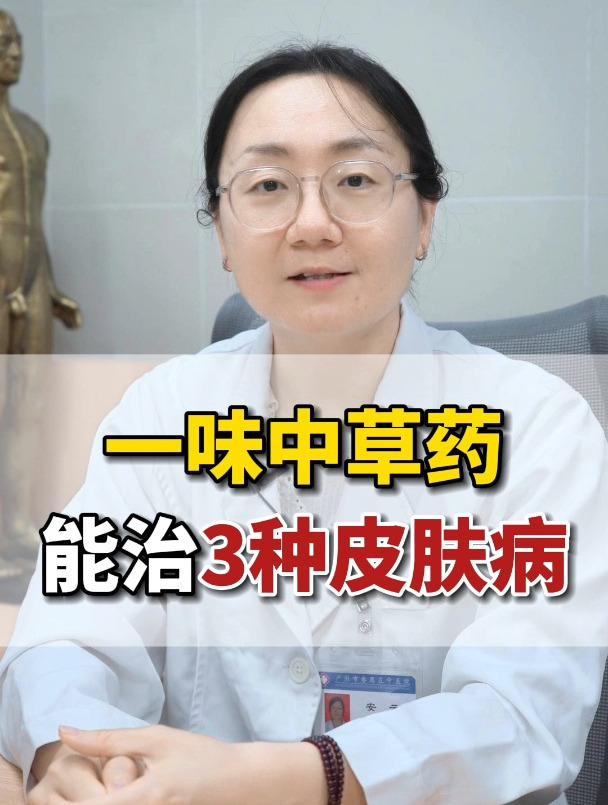 一味中草药,能治3种皮肤病 中药材 皮肤瘙痒