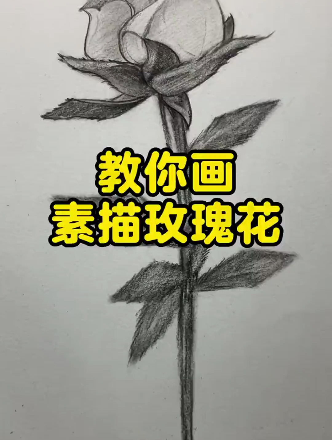 零基础教学,教你画素描玫瑰花