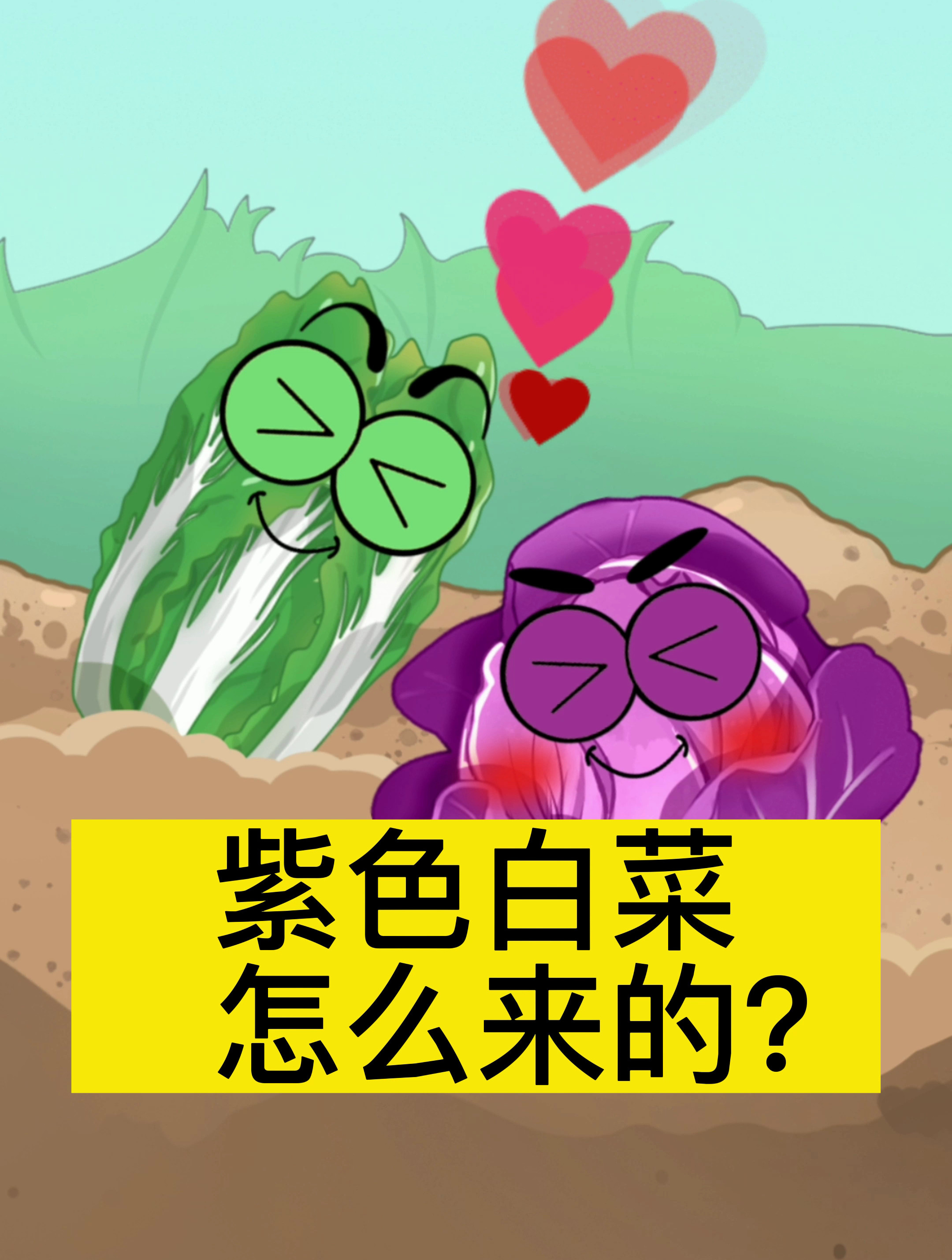 紫色白菜怎么来的