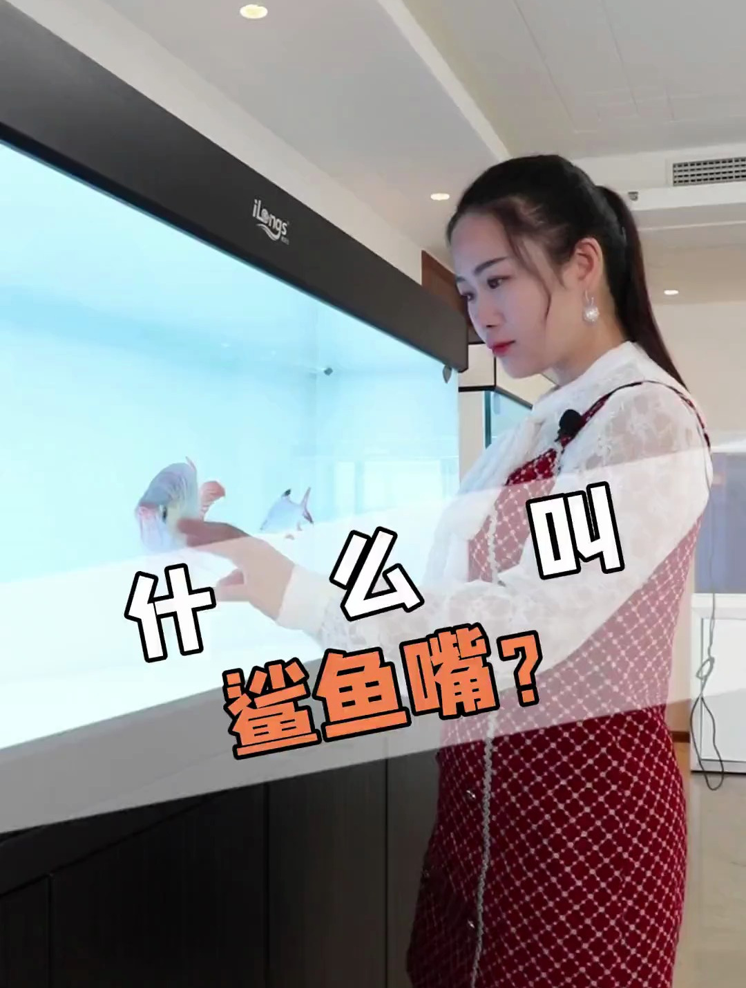 这就是大多鱼友追求的鲨鱼嘴!好看吗?