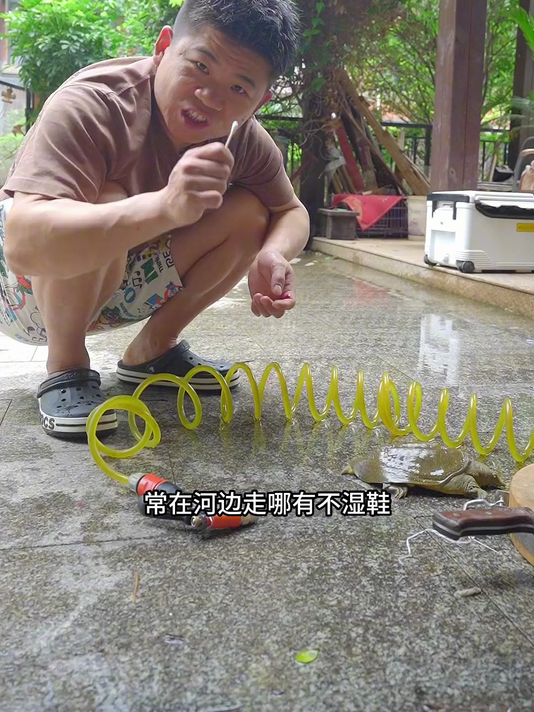 家庭版红烧甲鱼的详细做法