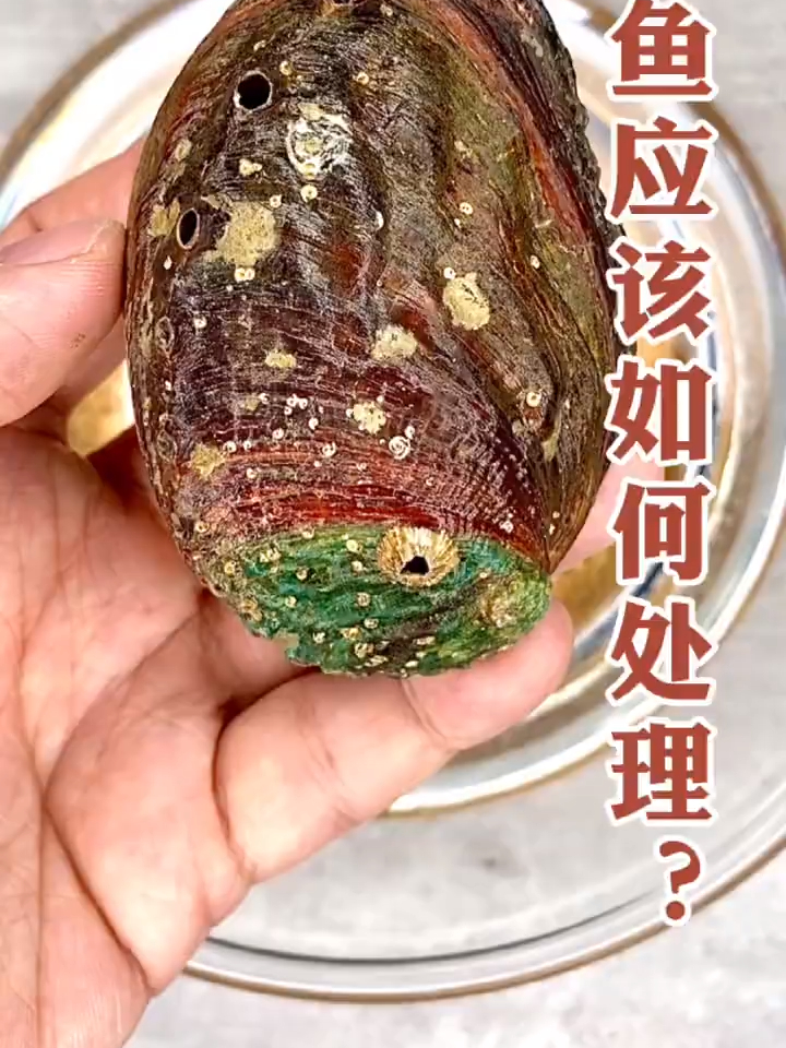 鲍鱼应该怎么清洗处理