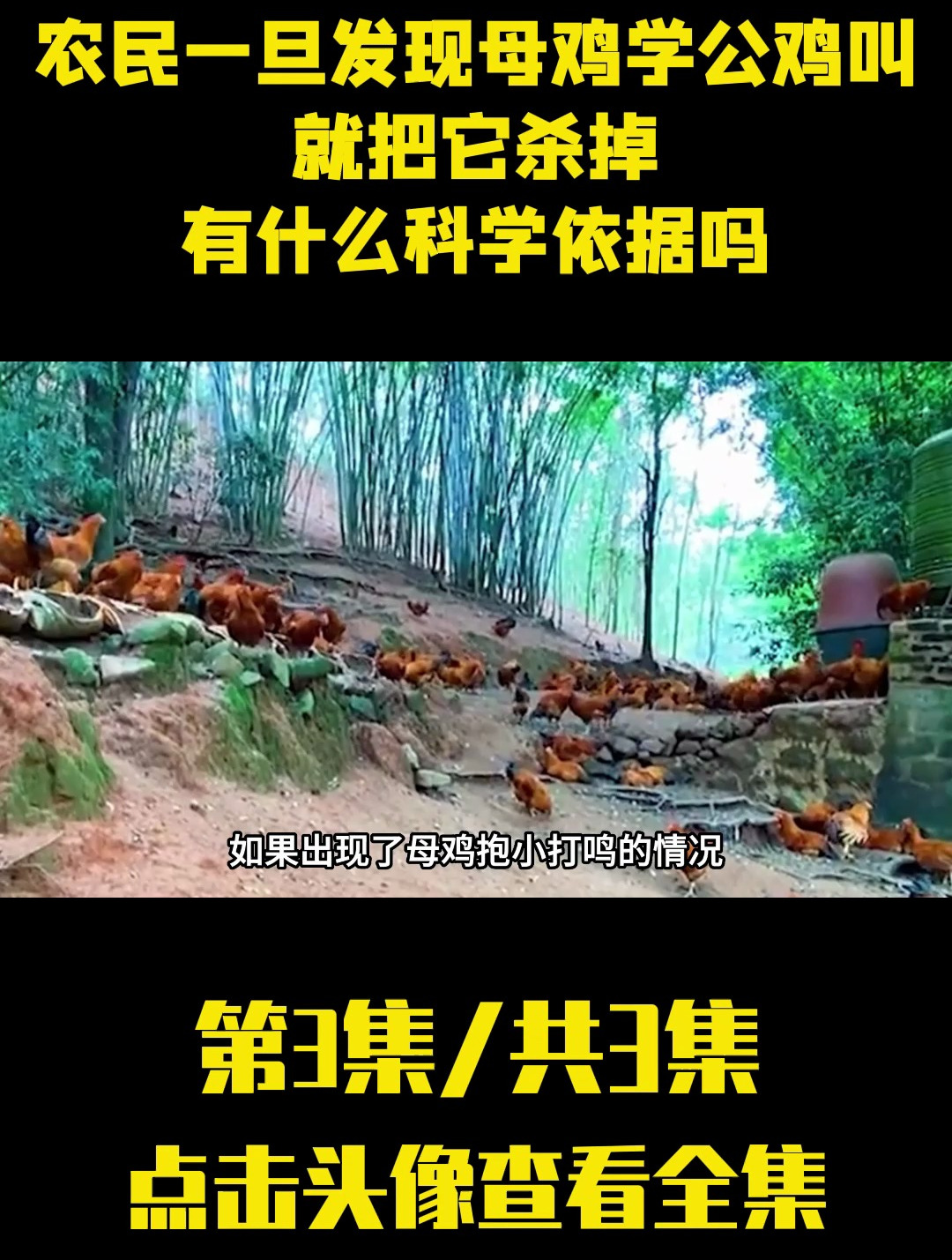 为何农民一旦发现母鸡学公鸡叫,就把它杀掉,有什么科学依据吗?